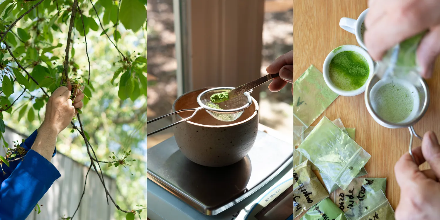 1787215423301-matcha.webp